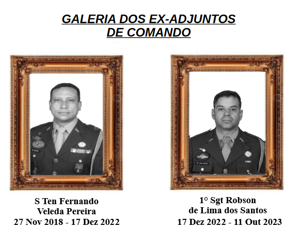 ex adjuntos de comando